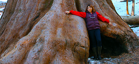 Sequoia Kings